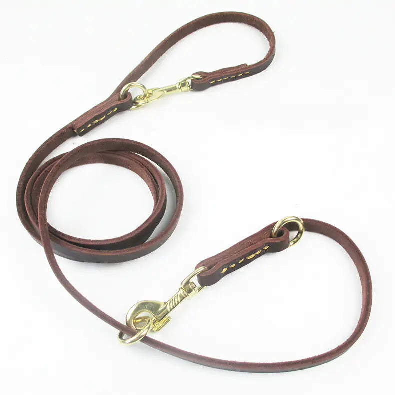 Multifunctional Dog Leash