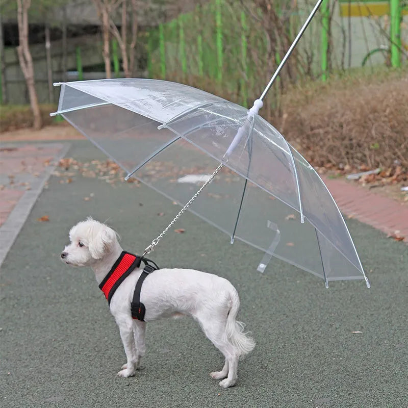 Chic Puppy Raincoat & Leash Combo