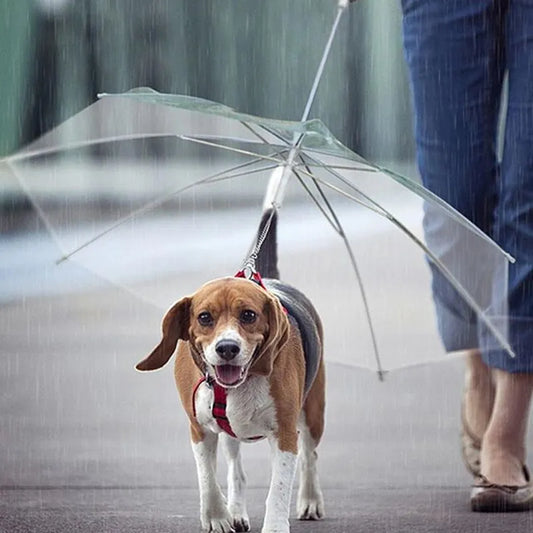 Chic Puppy Raincoat & Leash Combo