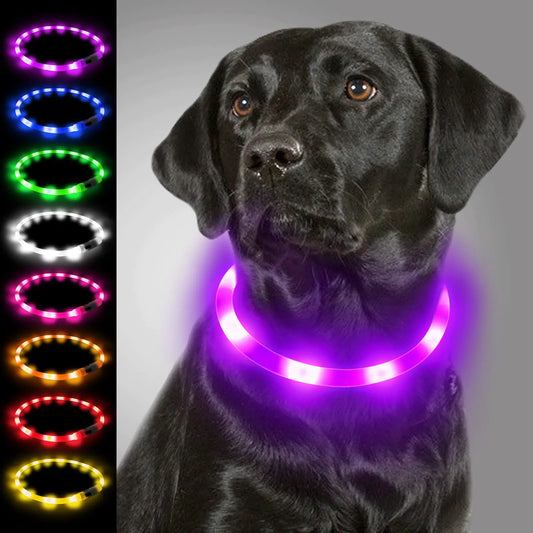 Joytale Light Up Dog Collar Rechargeable Rainproof LED