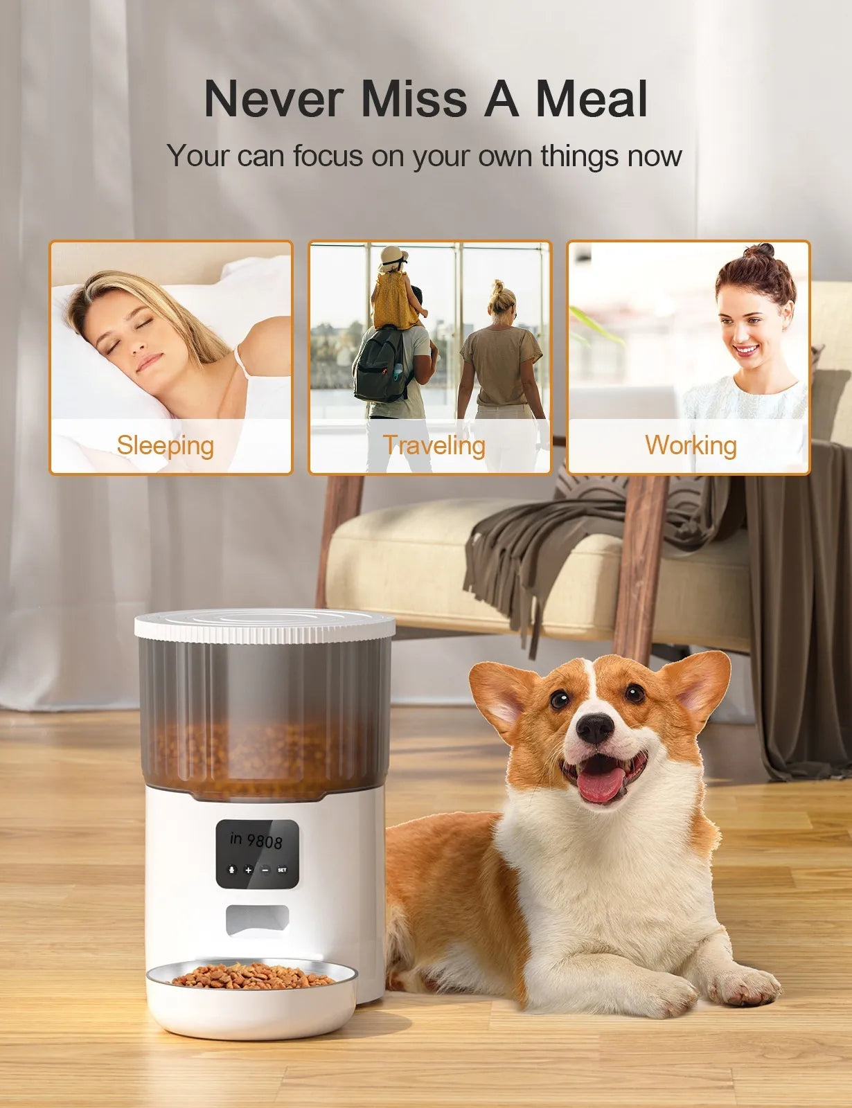 Automatic Pet Feeder. Dog & Cats.